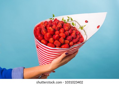Close up of woman holding bouquet of strawberries on blue background.