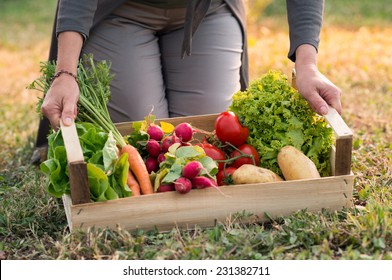 Close up Of Woman Holding Crate With Vegetable
