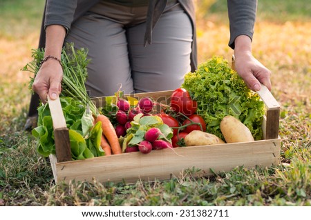 Similar – Image, Stock Photo Green seasonal vegetables