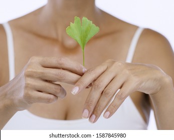 Close Up Of Woman Holding Ginkgo Leaf