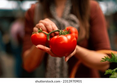 Close up of woman holding tomatoes in farmers market stall - Powered by Shutterstock