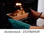 Close up of woman roasting turkey in the oven.