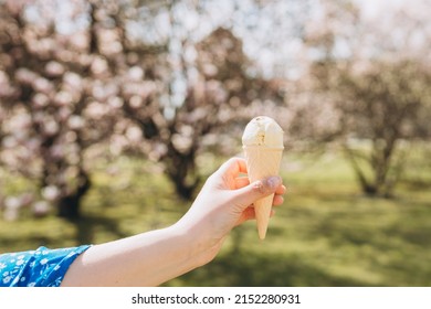 Close Up Womans Hand With Delicious White Ice Cream In Waffle Cone Outdoors. Spring Time, Food Banner