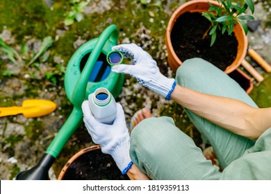 Close Up Of Woman's Hands In Gloves Pours Liquid Mineral Fertilizer In Watering Can With Water In Backyard. Cultivation And Caring For Outdoor Potted Plants. Hobbies And Leisure, Urban Jungle Concept.