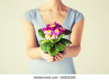 Close Up Of Woman's Hands Holding Flower In Pot