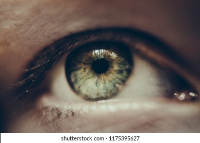 Close Up Of Women Green Eye