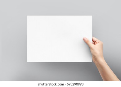 Close Up Women Holding Paper Blank A4 Size For Letter Paper On A Grey Background.