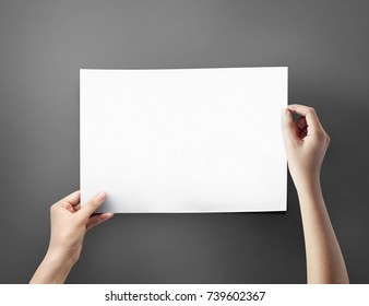 Close Up Women Holding A Paper Blank A4 Size On Grey Table Top View