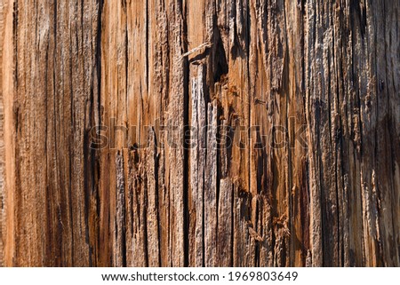 close up of wood telephone pole