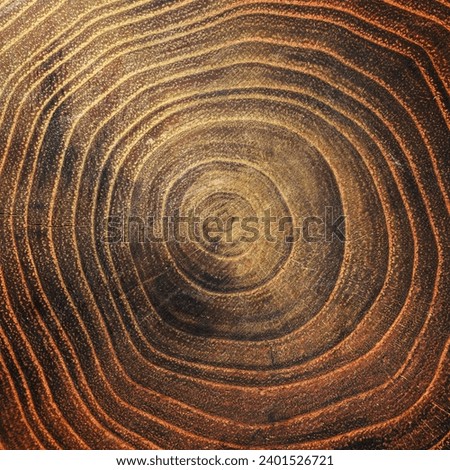 close up wooden annual growth rings
