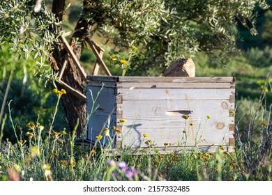Close up of a wooden beehive box in the meadow. Beekeeper concept.