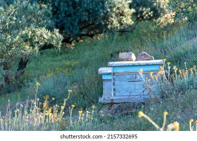 Close up of wooden beehive boxes in the meadow. Beekeeper concept.