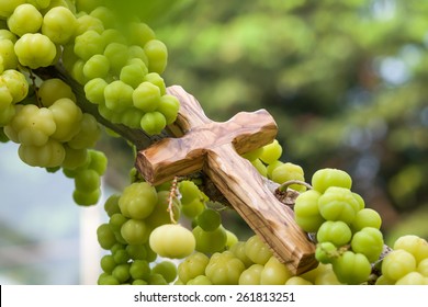 Close up of wooden cross with star gooseberry, symbolic of fruitfulness for religion background  - Shutterstock ID 261813251