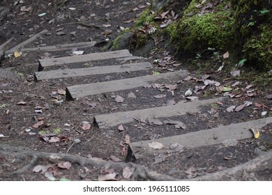 Close Up Of Wooden Purpose Built Steps On A Hiking Trail In The Forest