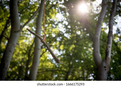 Close up of wooden swing on a tree, outdoors in the wood - Shutterstock ID 1666175293