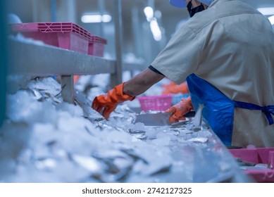 Close up of a worker sorting fish on a conveyor belt covered in ice, wearing protective gloves in a food processing plant, emphasizing hygiene, precision, and quality control in seafood handling.