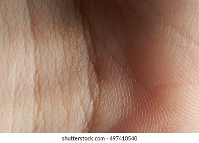 close up of wrist skin texture and lines