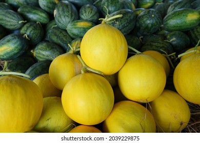 Close Up Yellow Cantaloupe. (Scientific Name Cucumis Melo Var. Cantalupensis)