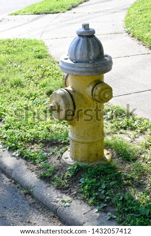 a close up of a yellow fire hydrant on the side of the street