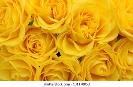 close up of yellow roses on the market - Powered by Shutterstock