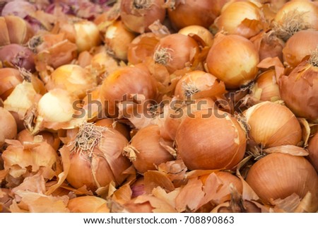 Close of yellow Spanish Onions