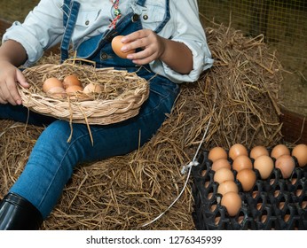 Close up of young farmer child's hand collecting and picking freshly eggs. - Powered by Shutterstock