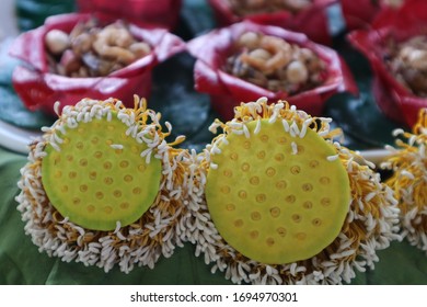 Close Up Young Fresh Sacred Lotus Seed Flower