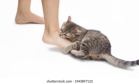 Pieds Femme Photos Et Images De Stock Shutterstock