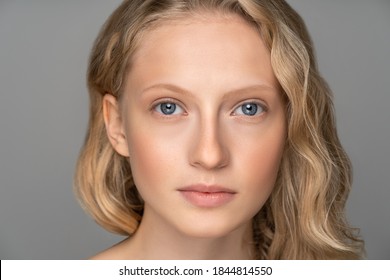 Close up of young woman face with blue eyes, curly natural blonde hair and eyebrows, has no makeup, looking at camera. Studio grey background. Girl with perfect fresh clean skin over grey background. 