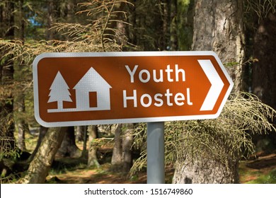 Close Up Of Youth Hostel Sign In Scotland, UK With Forest Background In Dappled Sunlight