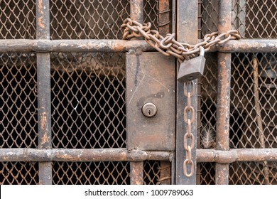 Closed bars with old chain and lock - Shutterstock ID 1009789063
