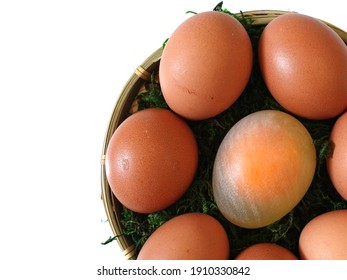 Closed Up Of Bouncy Fragile Egg Surrounded With Ordinary Chicken Eggs