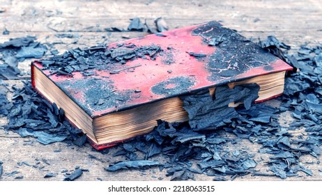 A closed burnt book among the ashes and charred book pages - Powered by Shutterstock