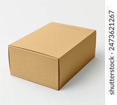 Closed cardboard Box or brown paper package box on white background