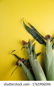 Closed Ears Of Corn On A Bright Yellow Background. Free Place.