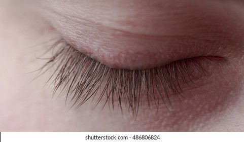 Closed Eyelid Of The Human Eye