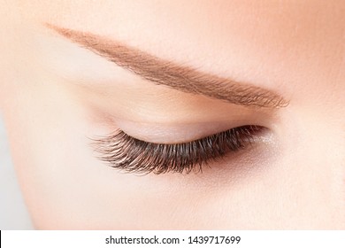 380,047 Eyelash Images, Stock Photos & Vectors | Shutterstock