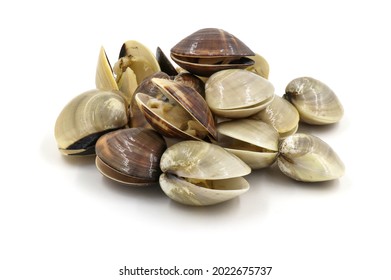 Closed up fresh baby clams, venus shell, shellfish, carpet clams, short necked clams, as raw food from the sea are the seafood ingredients. fresh clams isolated on white background