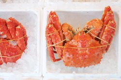 Closed Up Fresh Japanese Crab In Ice, Hokkaido