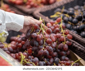 Closed up hand holding grapes, Black grapes background, Bunches of black grapes at a market, A branch of black ripe grapes in women hand
