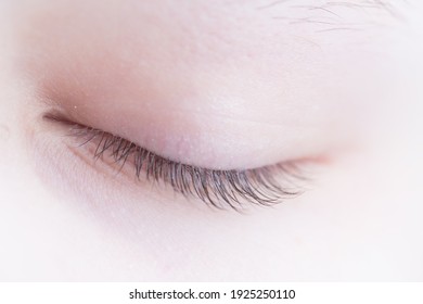 Closed Human Eye. Closed Eyelid With Eyelashes. Indoor Photo With Shallow Depth Of Field.