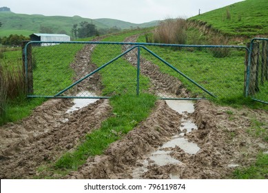 A closed metal gate across muddy tire tracks on a rural sheep farm in the Wairarapa in New Zealand