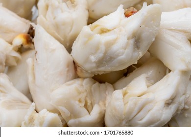 Closed Up Premium Jumbo Lump Of Fresh Blue Crab Meat Isolated On White Background. Selective Focus.