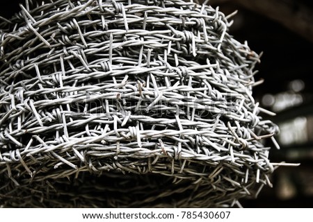 Closed up roll of barbed wire for fencing