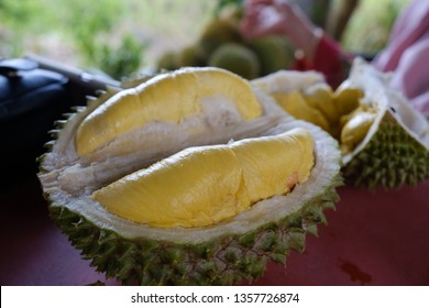 Download 93+ Gambar Durian Kunyit  Gratis HD