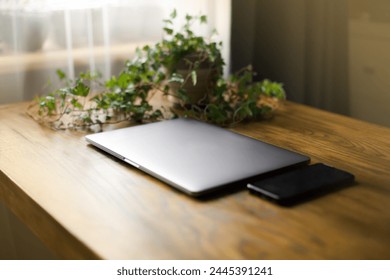 Closed silver laptop, black smartphone and plant on wooden table near the window - Powered by Shutterstock