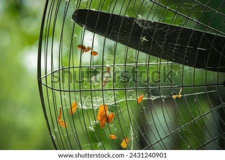 closed up spider web and leaf in antique black metal electronic fan in the garden 