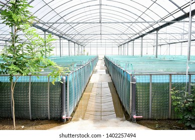 Closed System Of Aquaculture Farm Have Many Tank Culture In A Big Greenhouse Building