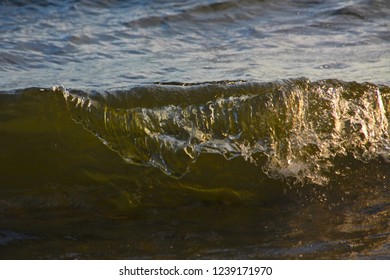 close-look of dynamic waves