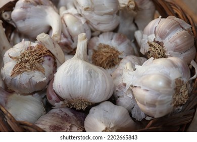 A Closer Look At An Basket Full Of Garlic 